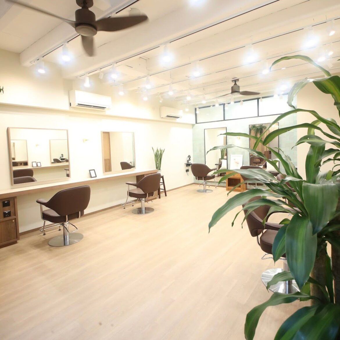 Hair Salon Flamingo Singapore