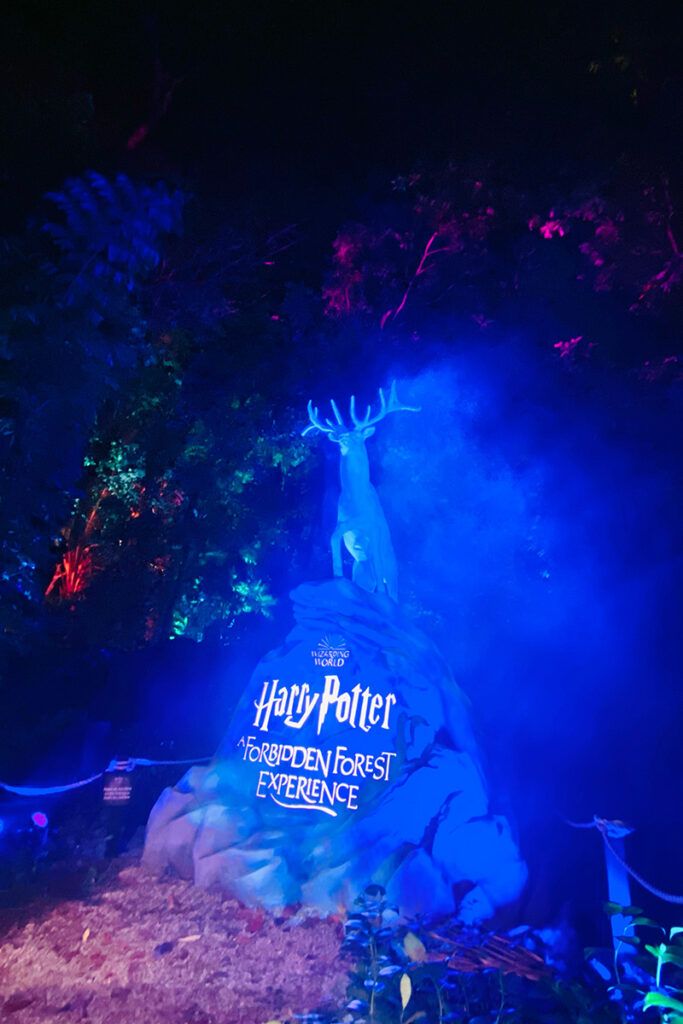 ハリーポッター：禁じられた森 体験 Harry Potter: A Forbidden Forest Experience　 シンガポール イベント