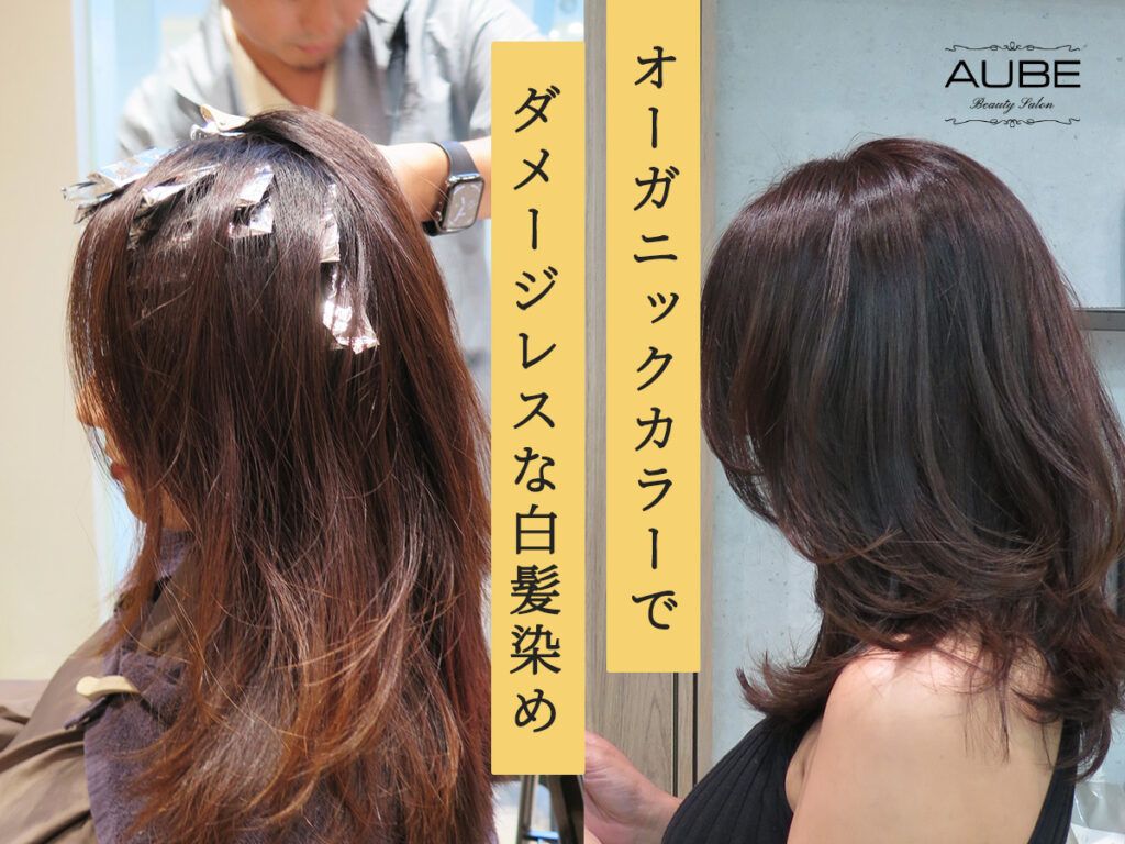 楽天市場】カラーリング 白髪 白髪染め ブローネ カラー